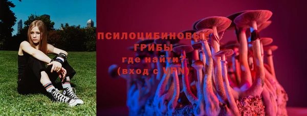 хмурый Алексин