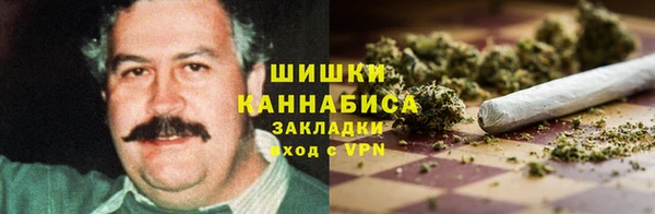 apvp Алзамай