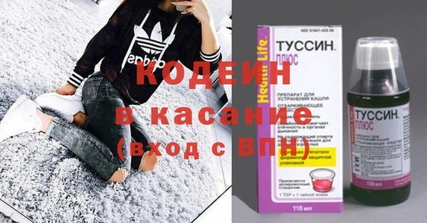 хмурый Алексин