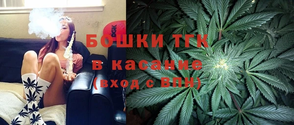 хмурый Алексин