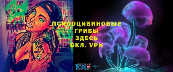 хмурый Алексин