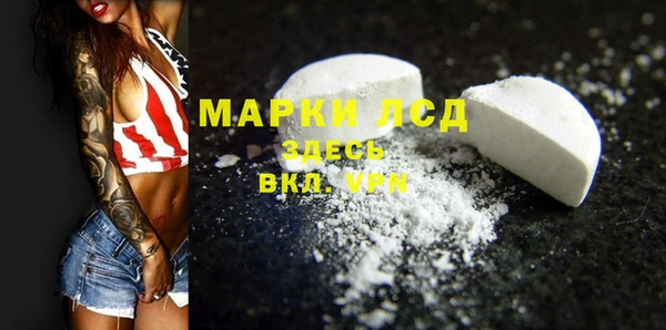 apvp Алзамай