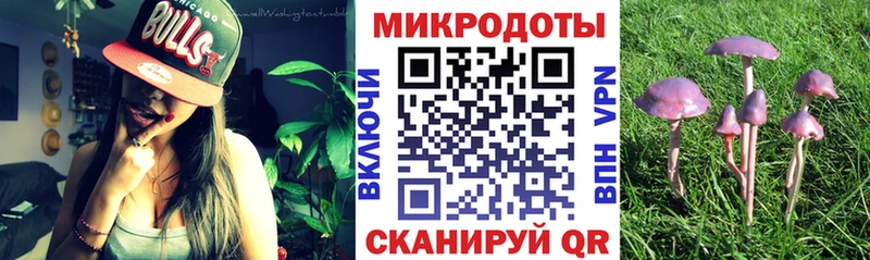 Псилоцибиновые грибы Cubensis  Апрелевка 
